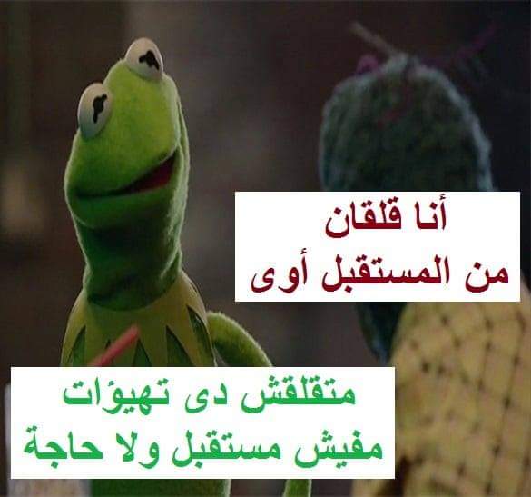 Wasil Ali - واصل علي tweet media