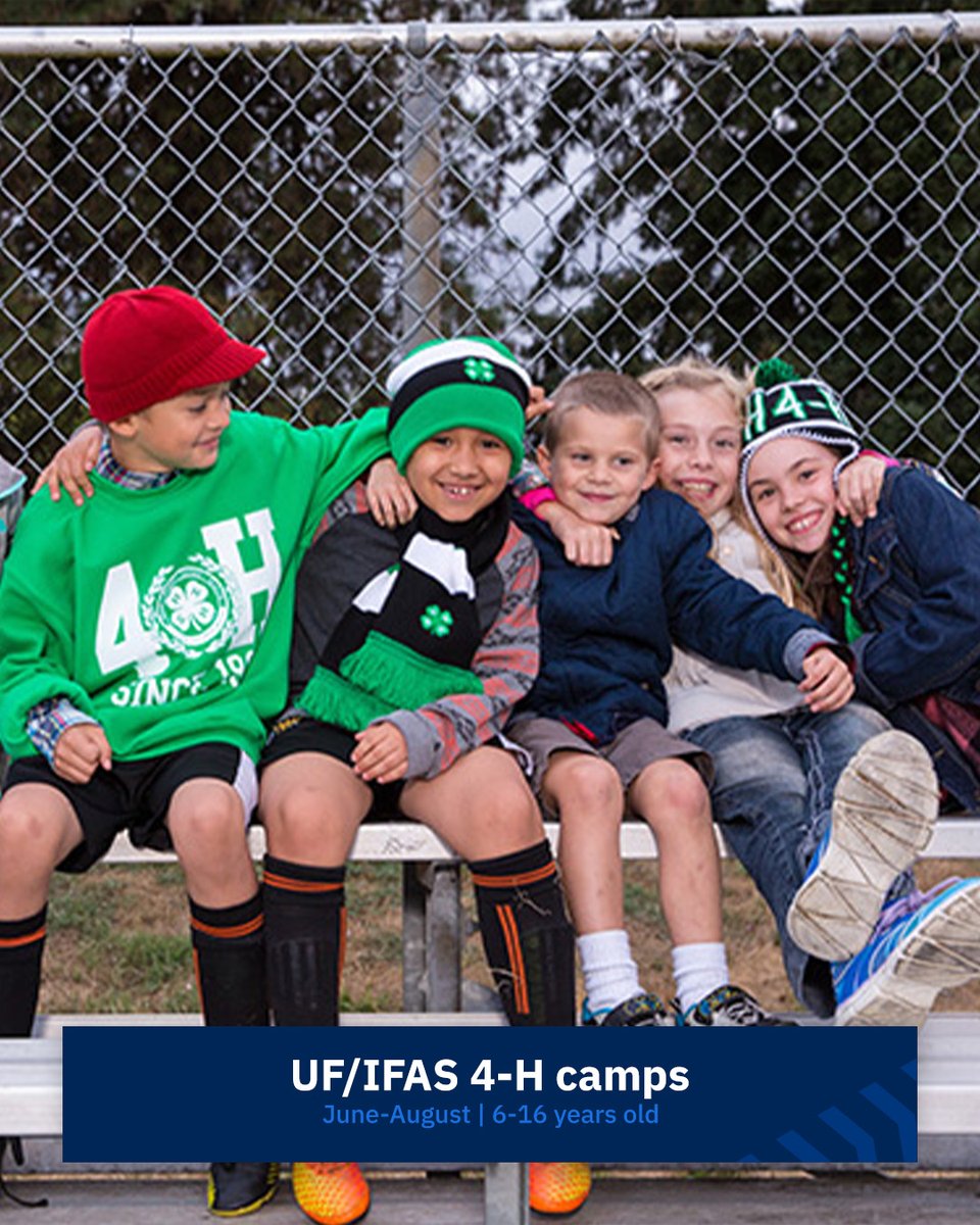 UF at Work tweet media