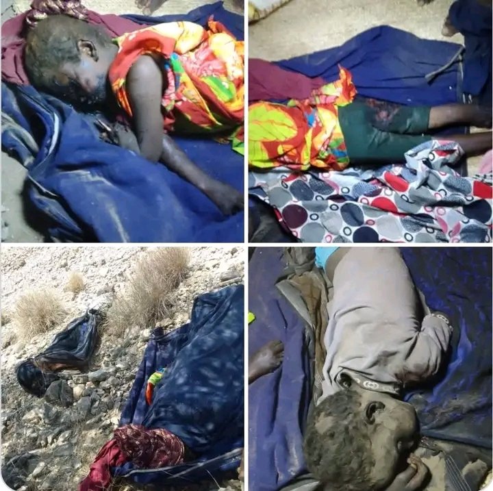 mohammed_borri's tweet photo. The cruel Ismail Umar Guleh is killing the Afar people with drones in this way. The Afar people should stop suffering like this in their own country.
#stopkillingAFARindjibouti
#DOWNISMAILOMARGUELLEH
#StopMassacre https://t.co/gWkDckEaWE