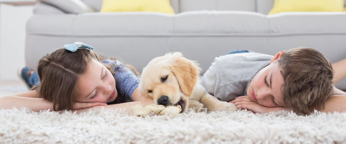 SuperValueHS's tweet photo. Only 2 DAYS LEFT to Win! - https://t.co/Zd94dJvgcU
#contest #winnipeg #free #carpetcleaning #cleanhome #shoplocal #topchoiceaward https://t.co/6wSDspUOwi