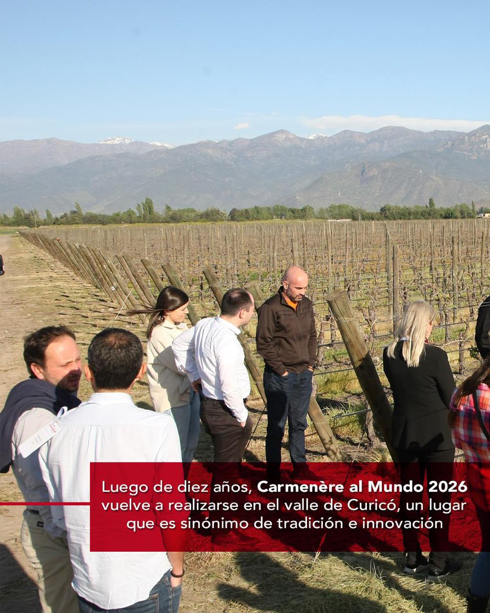 Revista Canal Horeca tweet media