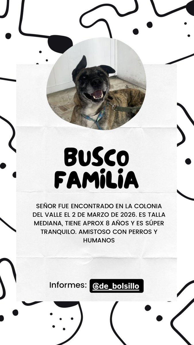gente bonita, ayúdenme a difundir a este señor. 

Yo me haré cargo de dejarlo desparasitado, vacunado y esterilizado, pero ya tengo dos y no puedo con uno más :(