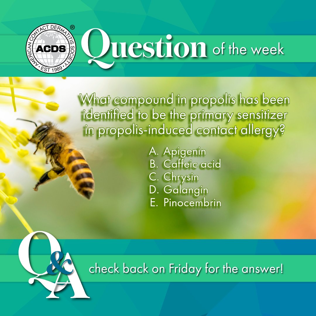 American Contact Dermatitis Society tweet media