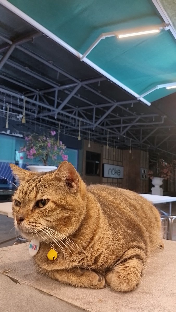bittersye's tweet photo. meng https://t.co/Wg3Zp3guNG