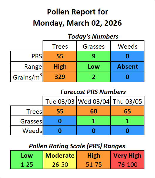 Forsyth County, NC Pollen tweet media