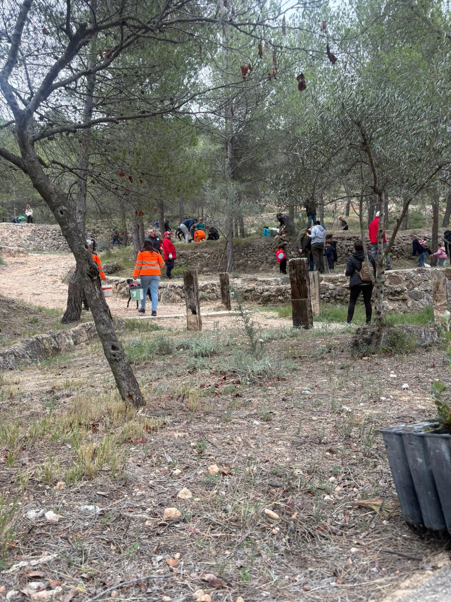 gprontoauxilio's tweet photo. Ayer domingo pasamos la mañana celebrando el día del Árbol. Seguro que los niños de #Ayora recuerdan este día en sus memorias. Agradecemos a  @AytoAyora y @GVAagricultura su implicación en esta actividad 
#Voluntarios https://t.co/e1ZzGHVX1X