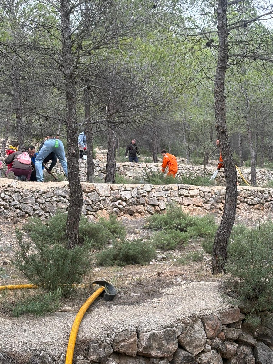 gprontoauxilio's tweet photo. Ayer domingo pasamos la mañana celebrando el día del Árbol. Seguro que los niños de #Ayora recuerdan este día en sus memorias. Agradecemos a  @AytoAyora y @GVAagricultura su implicación en esta actividad 
#Voluntarios https://t.co/e1ZzGHVX1X