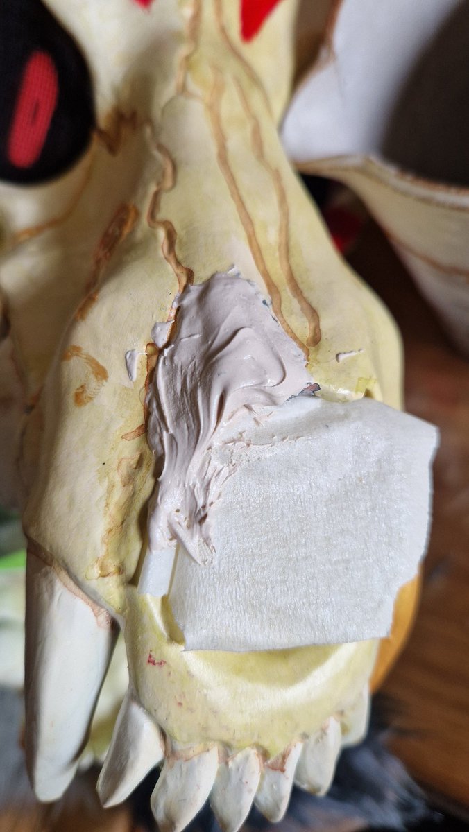 Black le Loup de la muscu💪 tweet media