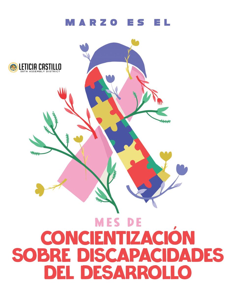 Assemblywoman Leticia Castillo tweet media