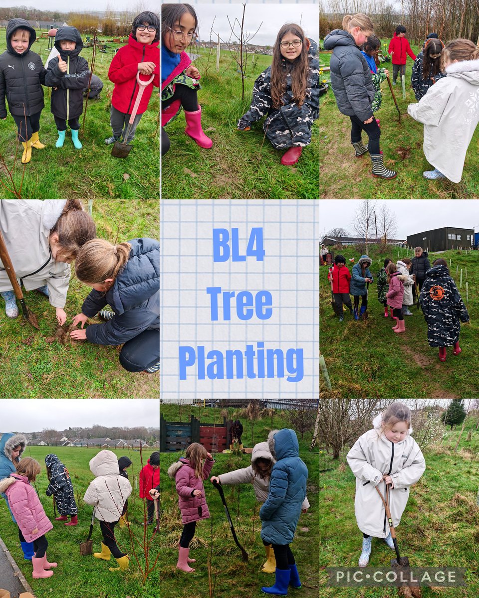 Swiss Valley tweet media