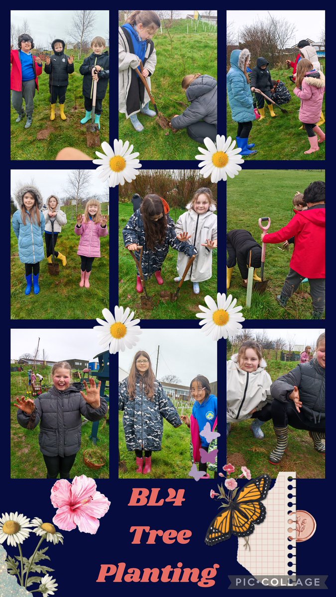 Swiss Valley tweet media