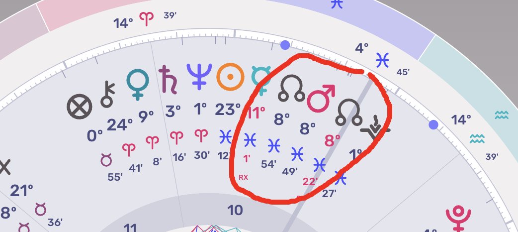 CRYPTO Damus tweet media