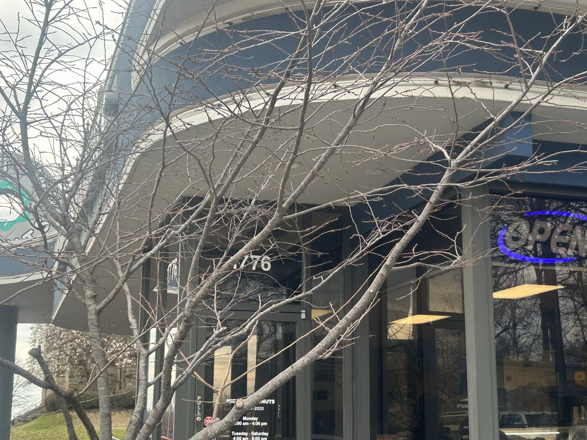 shirleyaguilera's tweet image. Across the street from @kroger best customerservice at this wonderful #DonutShop #MidtownDonut 1776 Union Ave maps.apple.com/?q=Current+Loc…