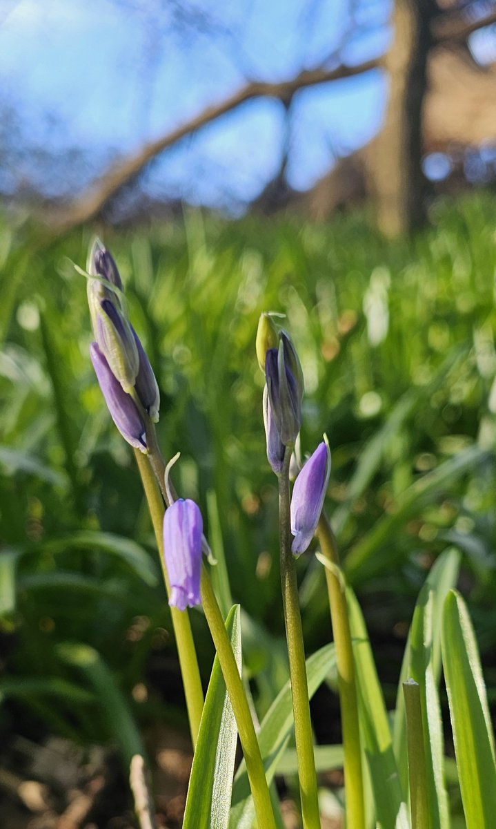 Andrew Wright tweet media