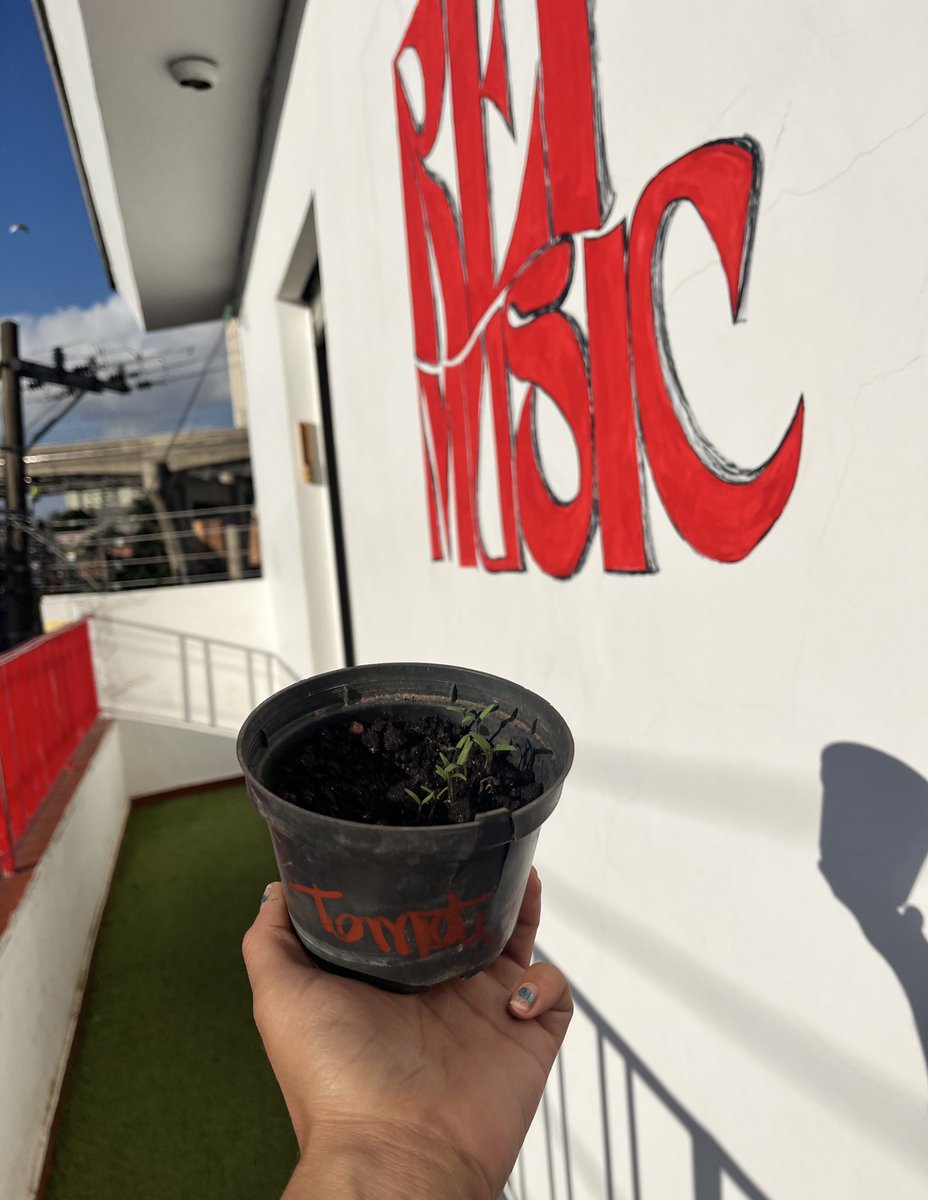 REF Music tweet media