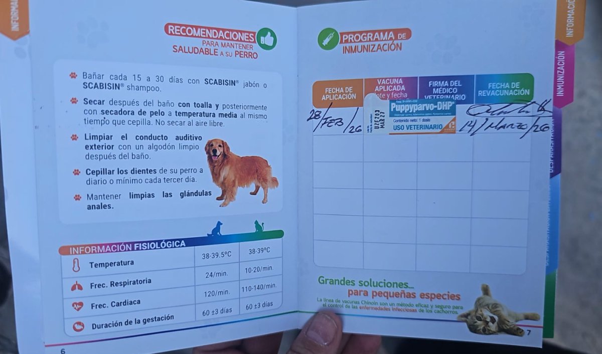 Firulais a salvo tweet media