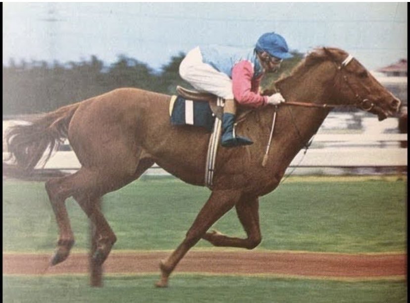 Form Focus tweet media