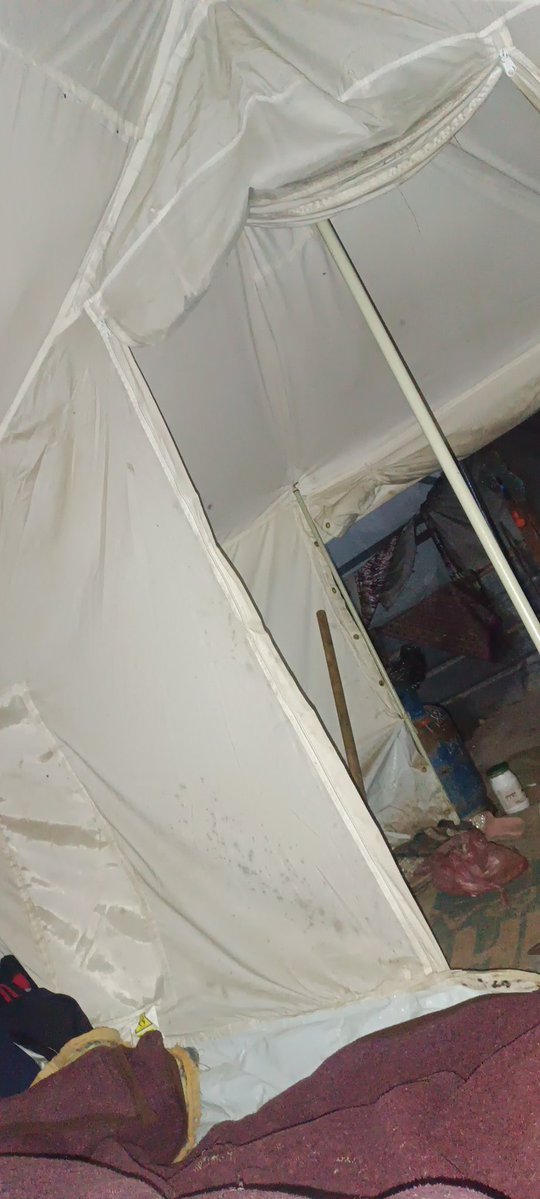 Nahla taysir 🍉 🇵🇸🇵🇸 tweet media