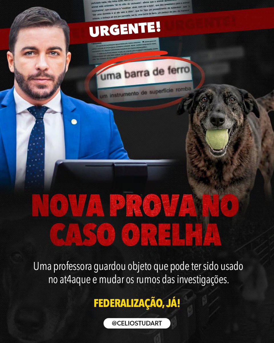 CelioStudart's tweet photo. 🚨 URGENTE: REVIRAVOLTA NO CASO ORELHA! 🚨

Novas informações acabam de surgir e podem mudar completamente o rumo das investigações. Uma professora encontrou uma haste de guarda-sol que teria sido utilizada no at4que contra o cão Orelha. https://t.co/F9zG9pXNLP
