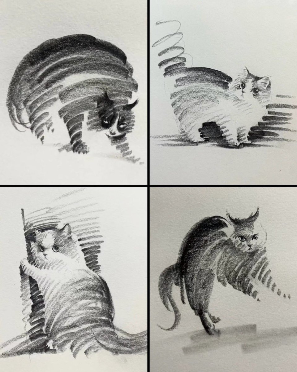 solisolsoli's tweet photo. Cats by Shou Xin https://t.co/J8xxUPqdSH