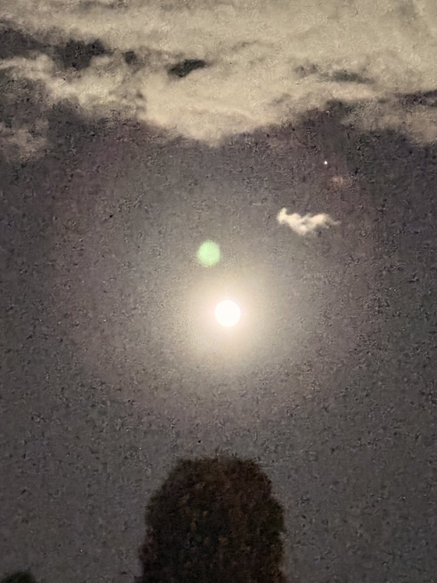 MichelleTrente2's tweet photo. #volle #maan #haarlem https://t.co/bp8umji3rC
