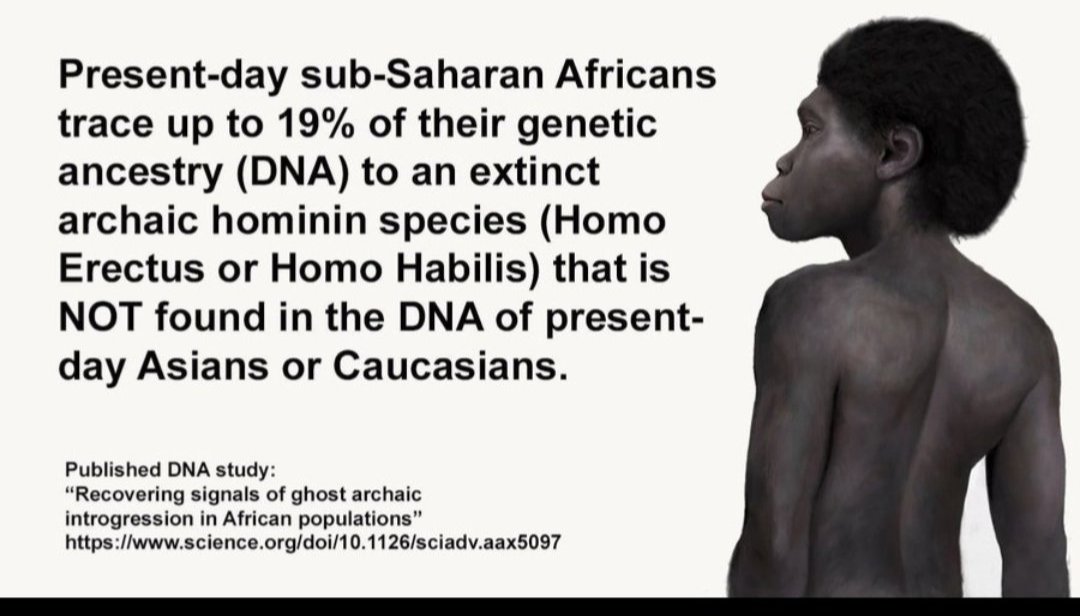 mostbannedever tweet media