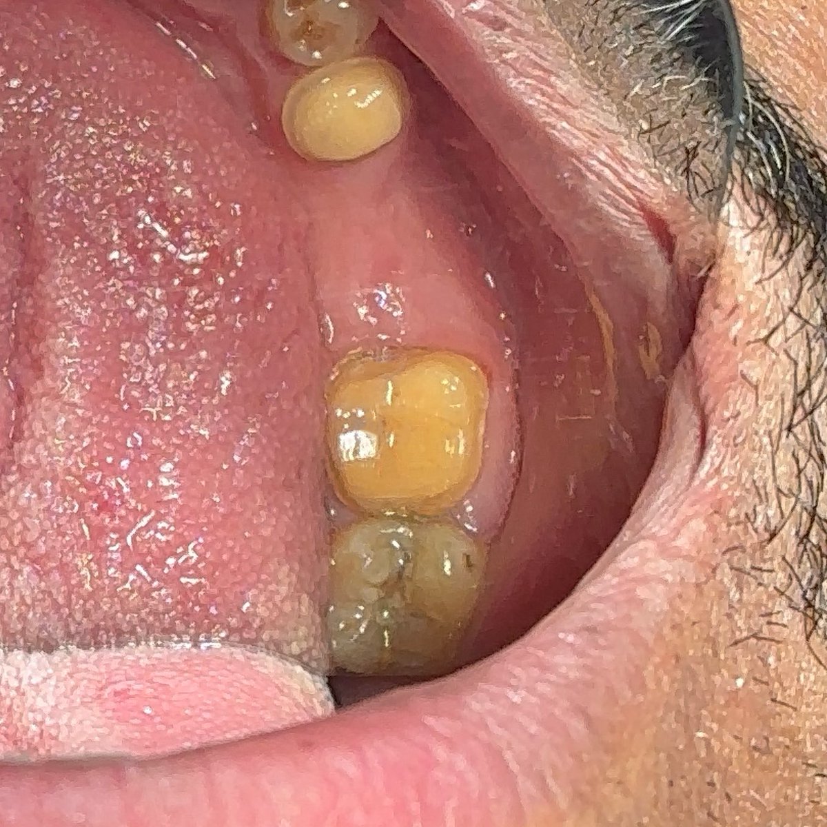 Raghad Almutairi tweet media