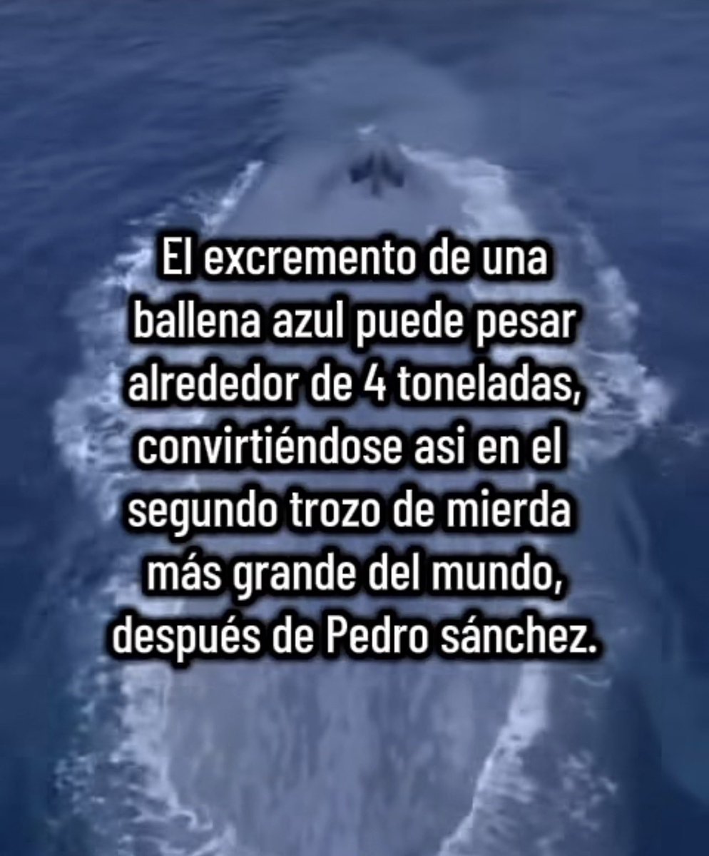 Sunriser tweet media