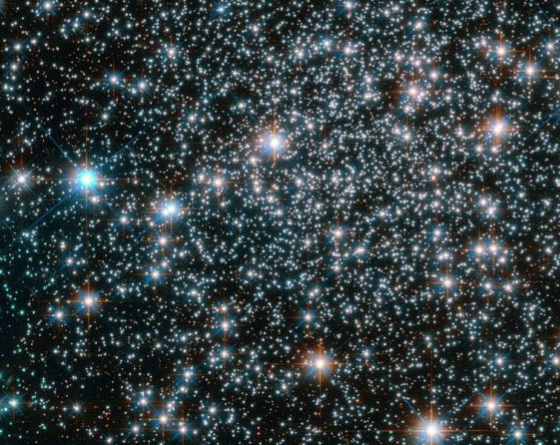 HD SOUTH tweet media