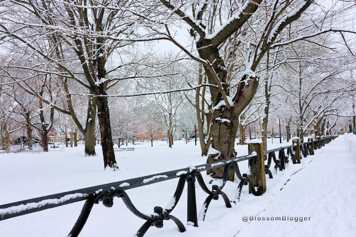 Bart Connors Szczarba tweet media