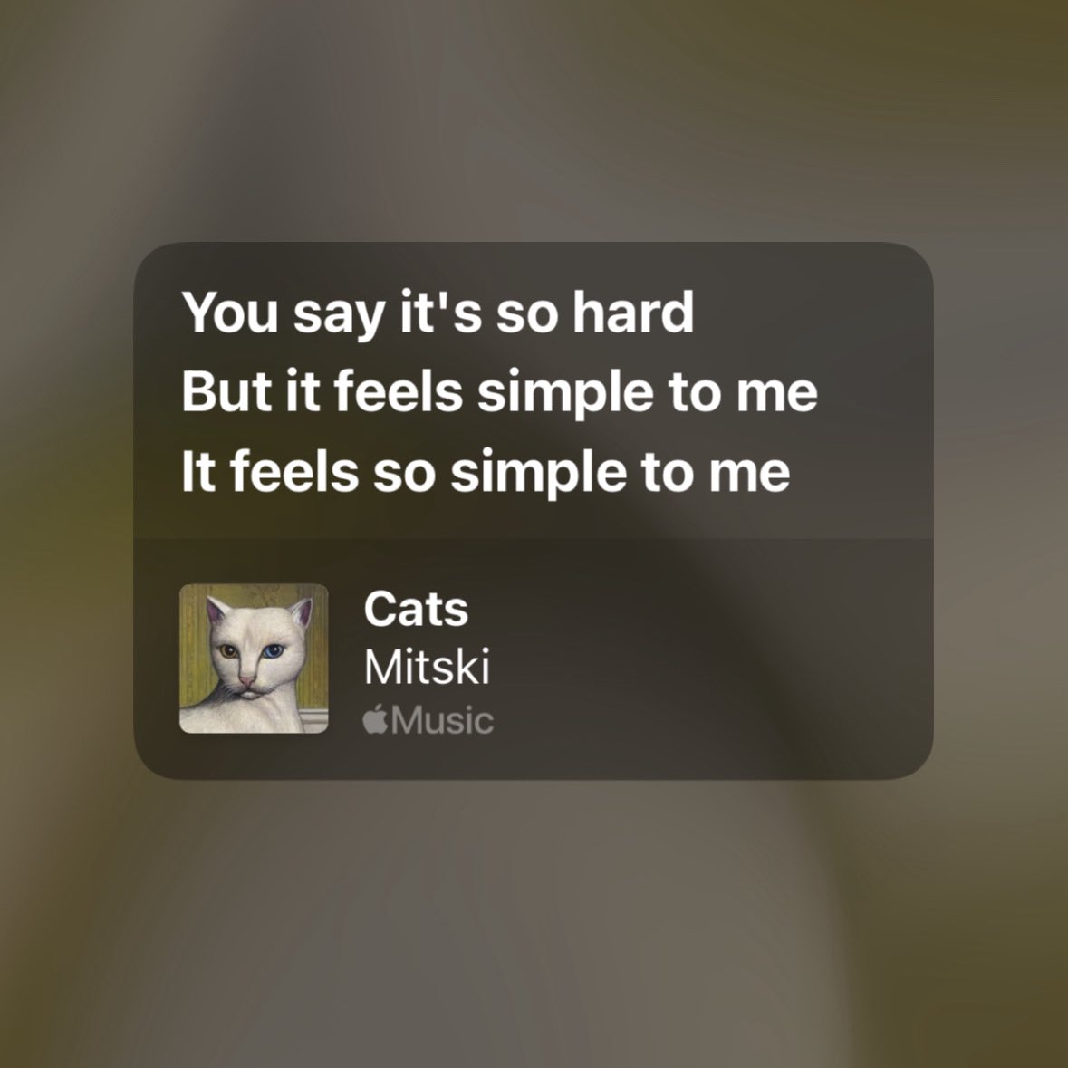 mitski's archive tweet media