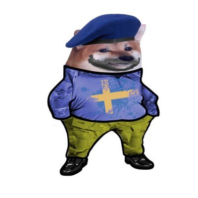 CHRIBB 🇸🇪🇺🇦 tweet media