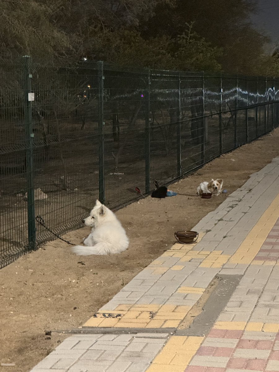 Deema 🪐 tweet media