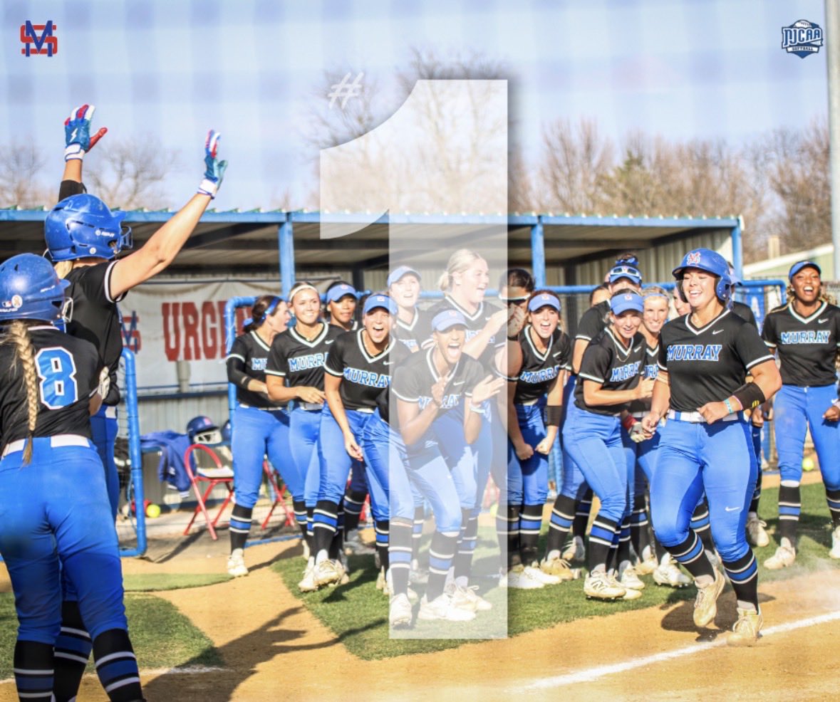 MSC Softball tweet media