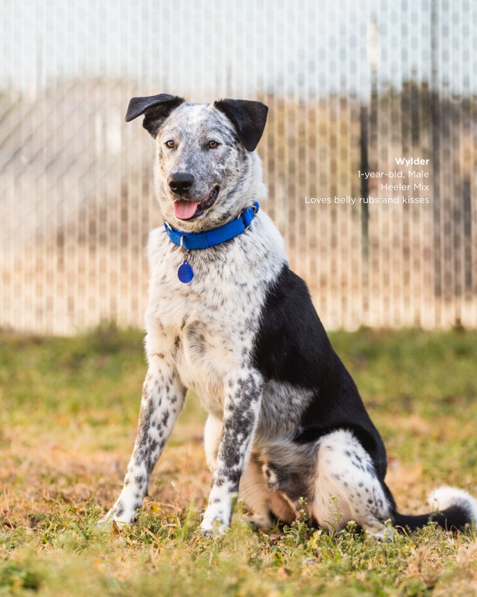 ACC District 🦇 tweet media