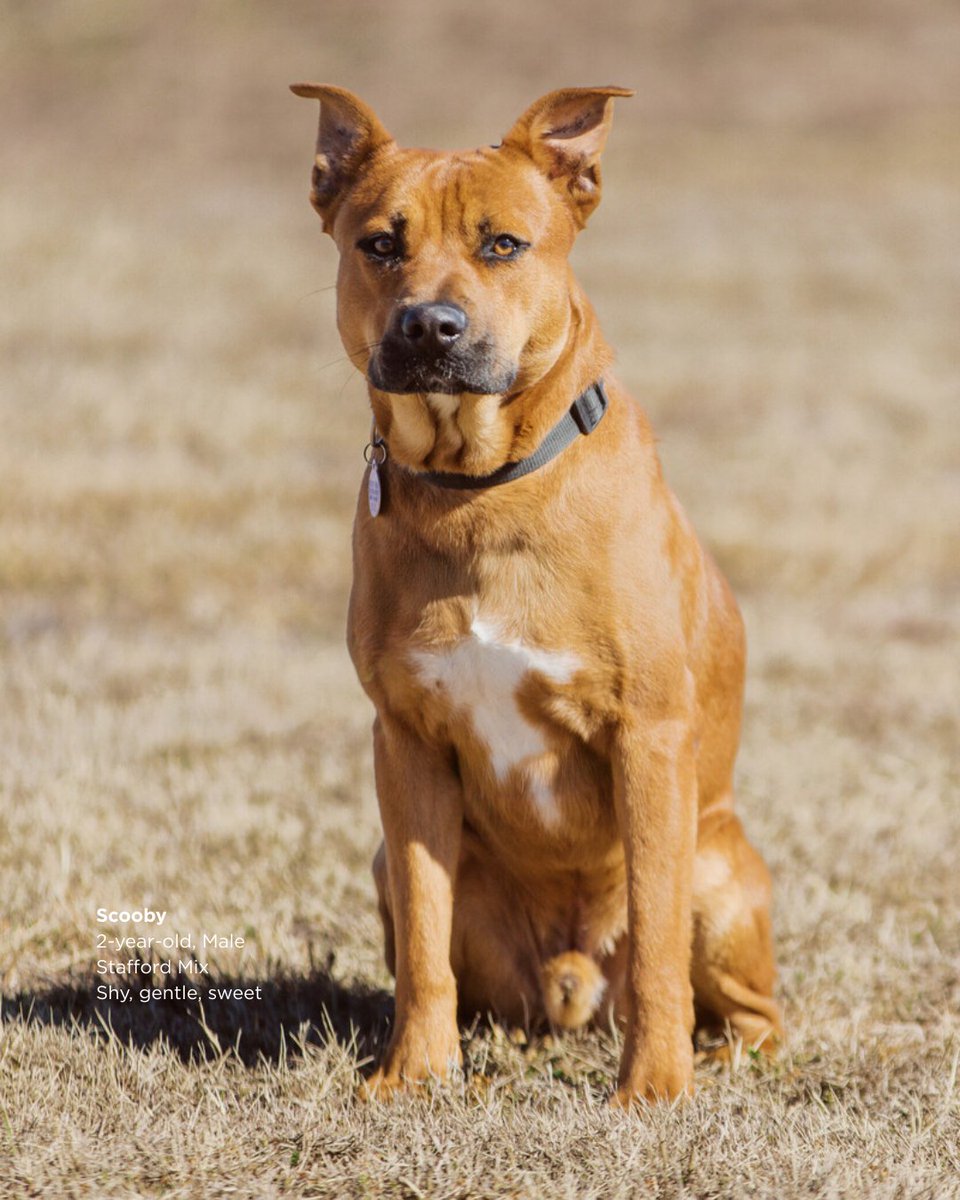 ACC District 🦇 tweet media