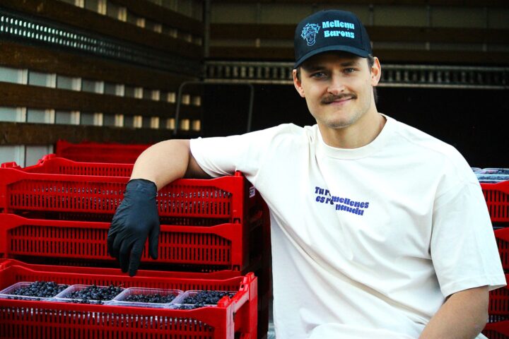 MaartinshLaacis tweet media