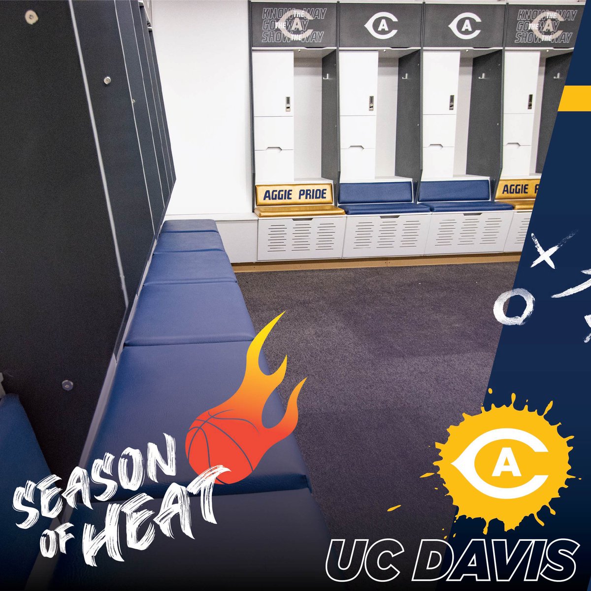 Shield Lockers tweet media