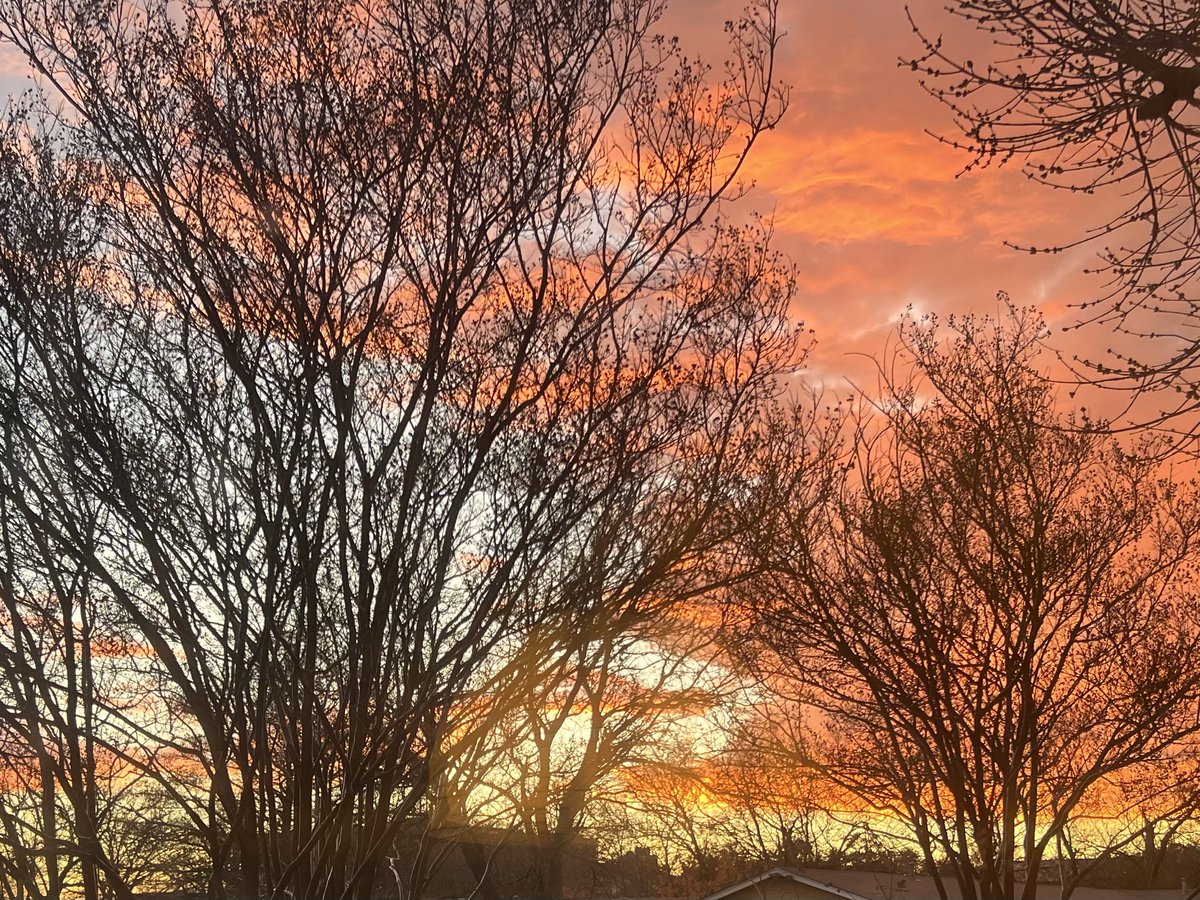 RNAeatsBugs tweet media