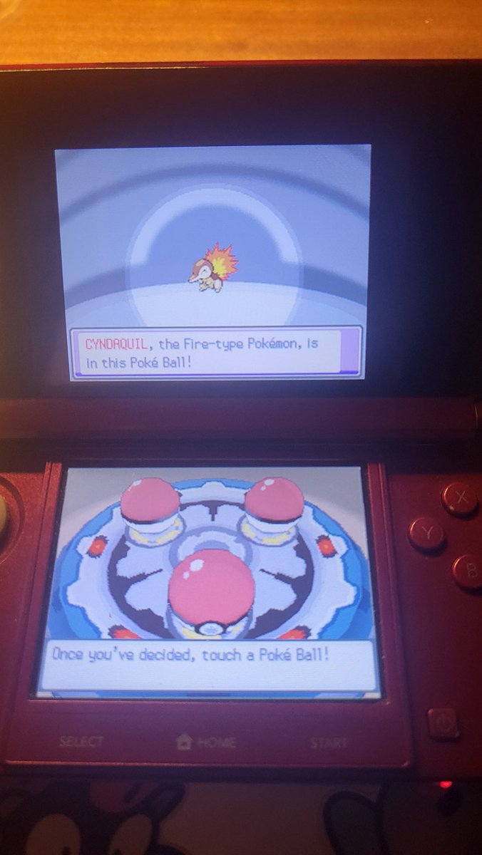 bean3517's tweet photo. Only 393 resets for a shiny little lady !! https://t.co/sM1GM8lfaw
