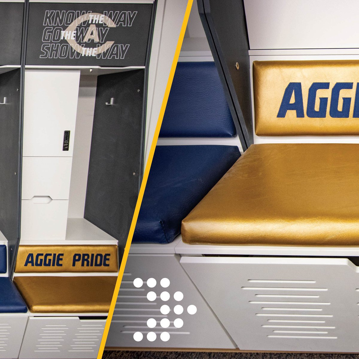 Shield Lockers tweet media