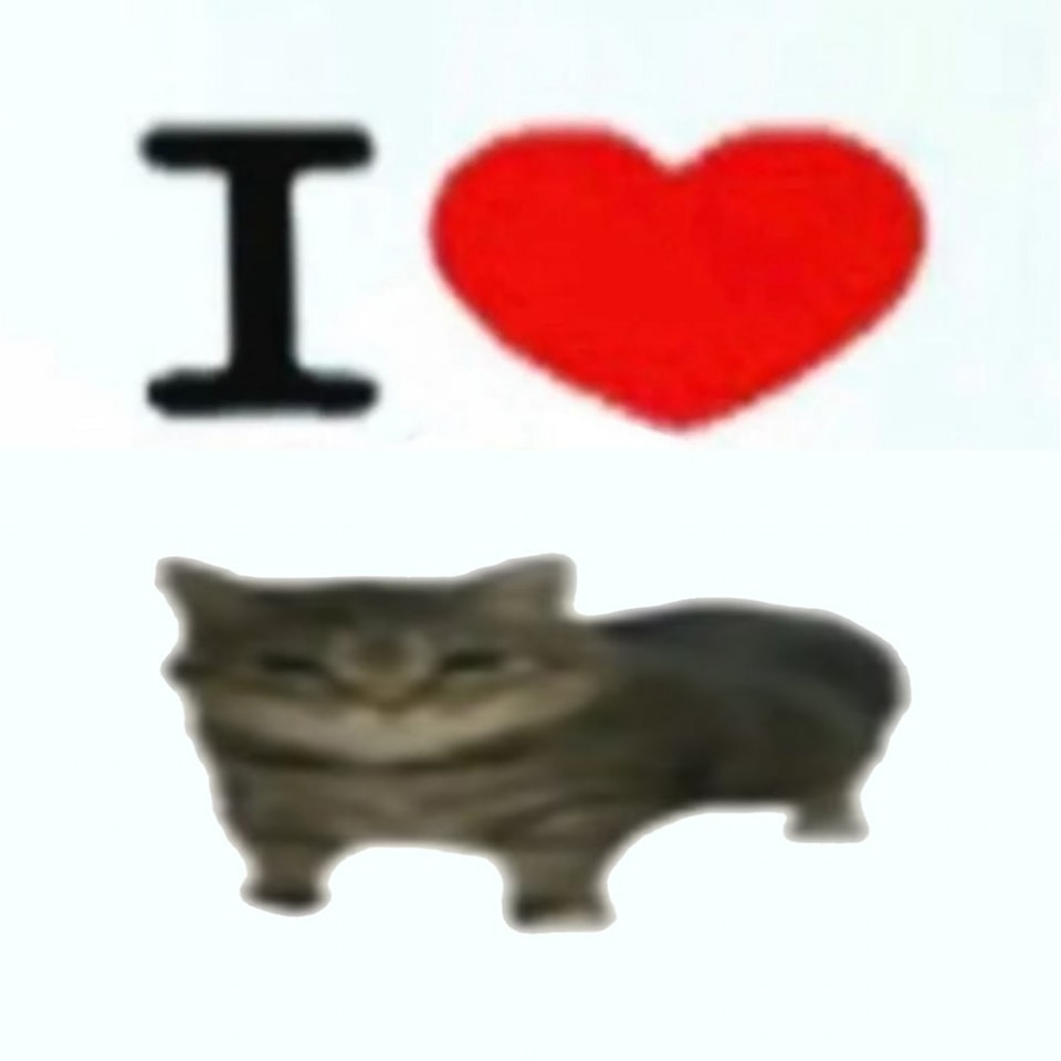 Punch Cat tweet media