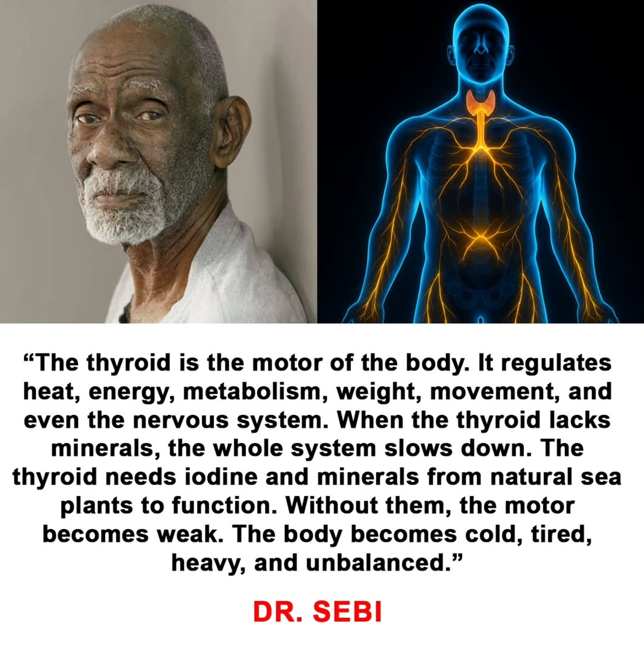 DrSebiSeaMoss tweet picture