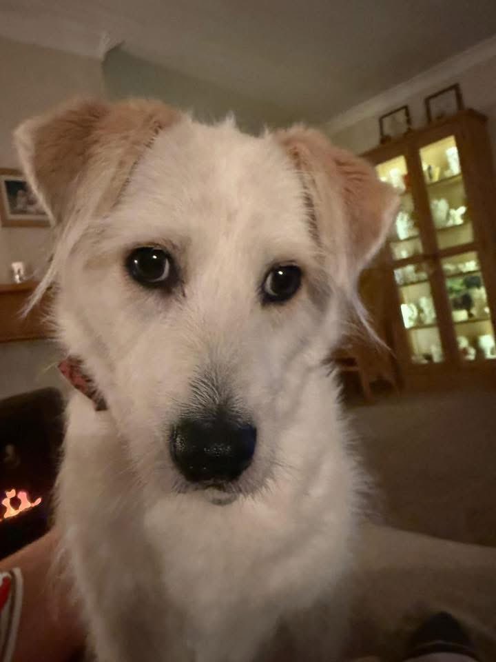 Gill Meek tweet media