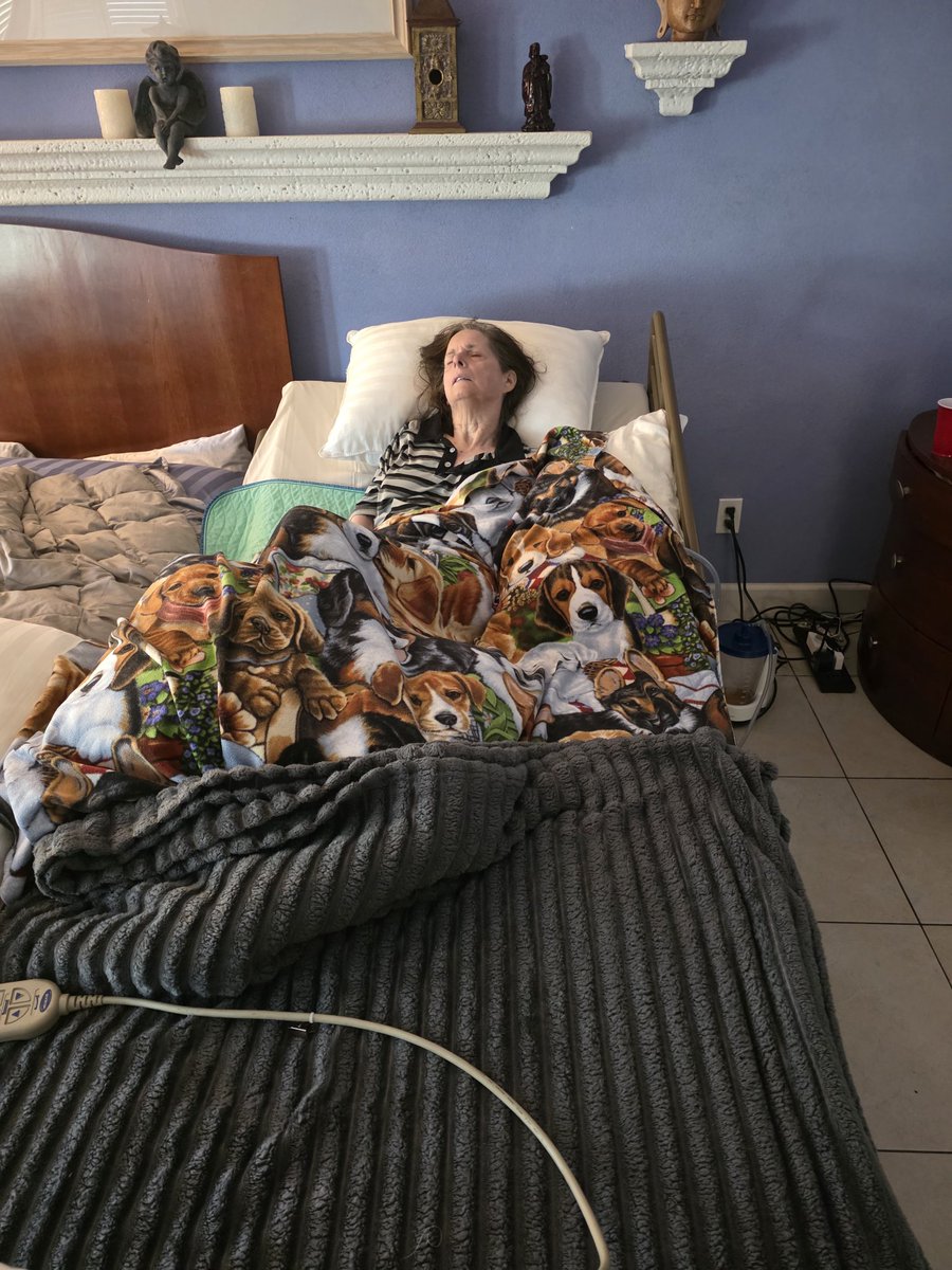 michaeljwhelan tweet media