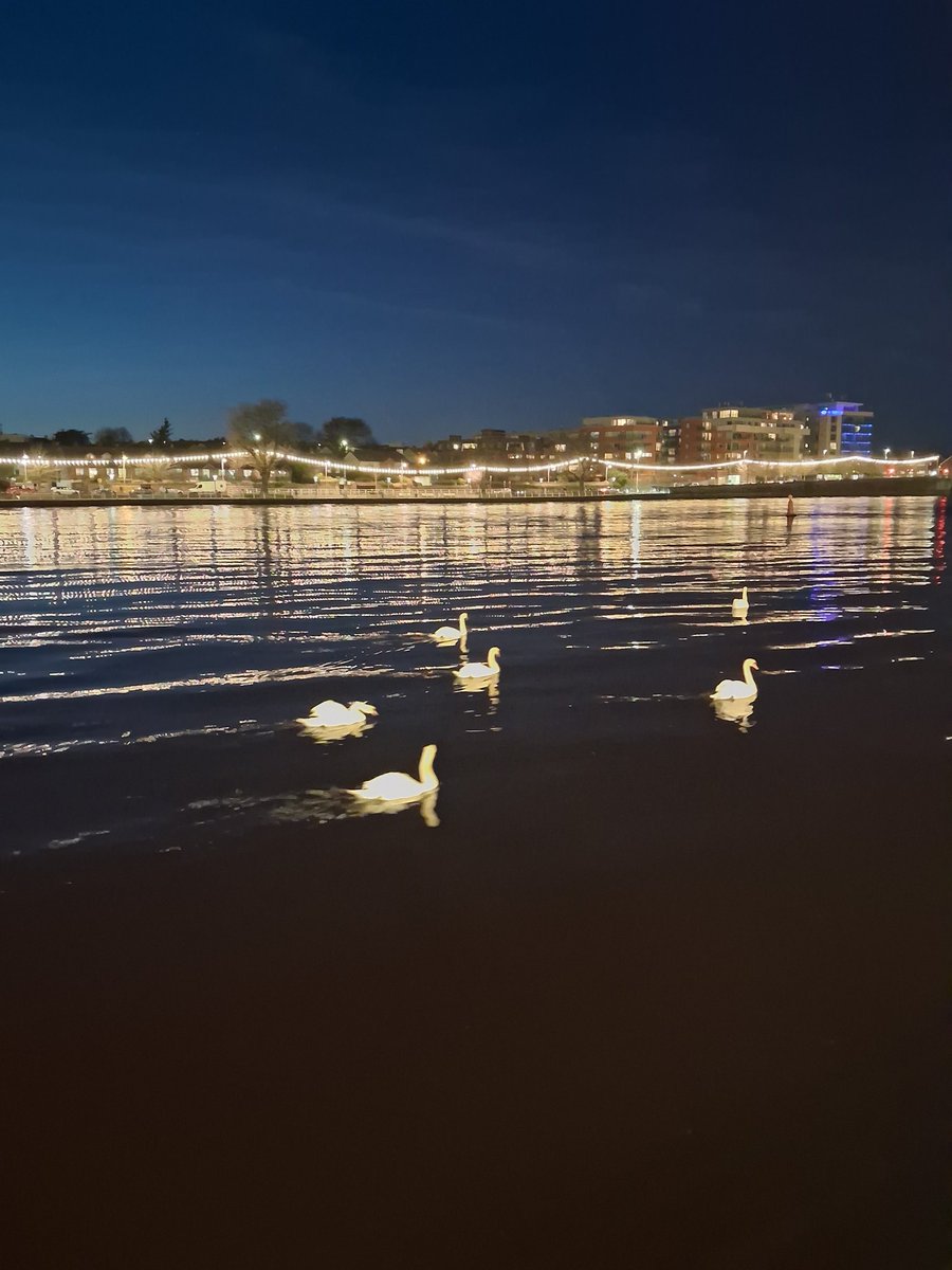 trebor6550's tweet photo. #Limerick https://t.co/cKTap41JaT