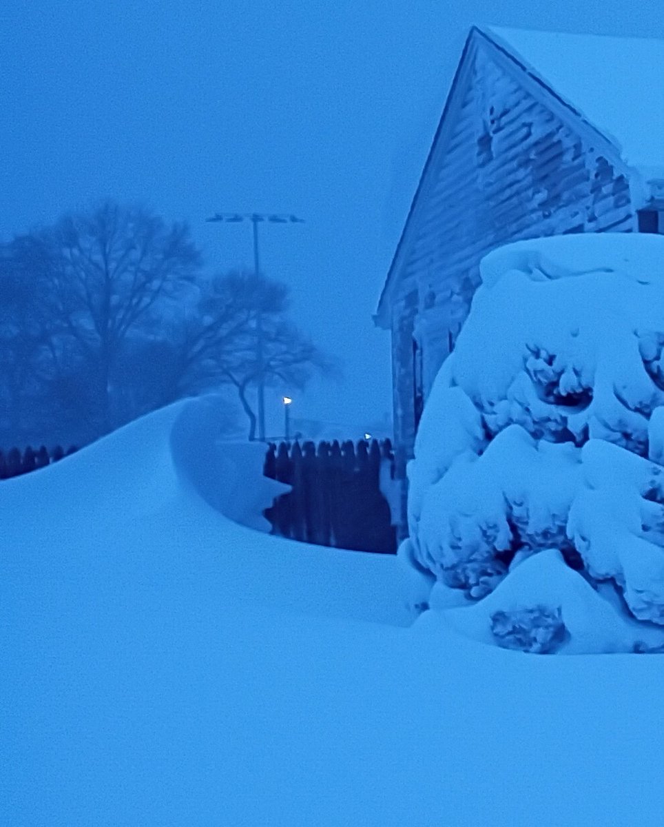 James Bertani tweet media