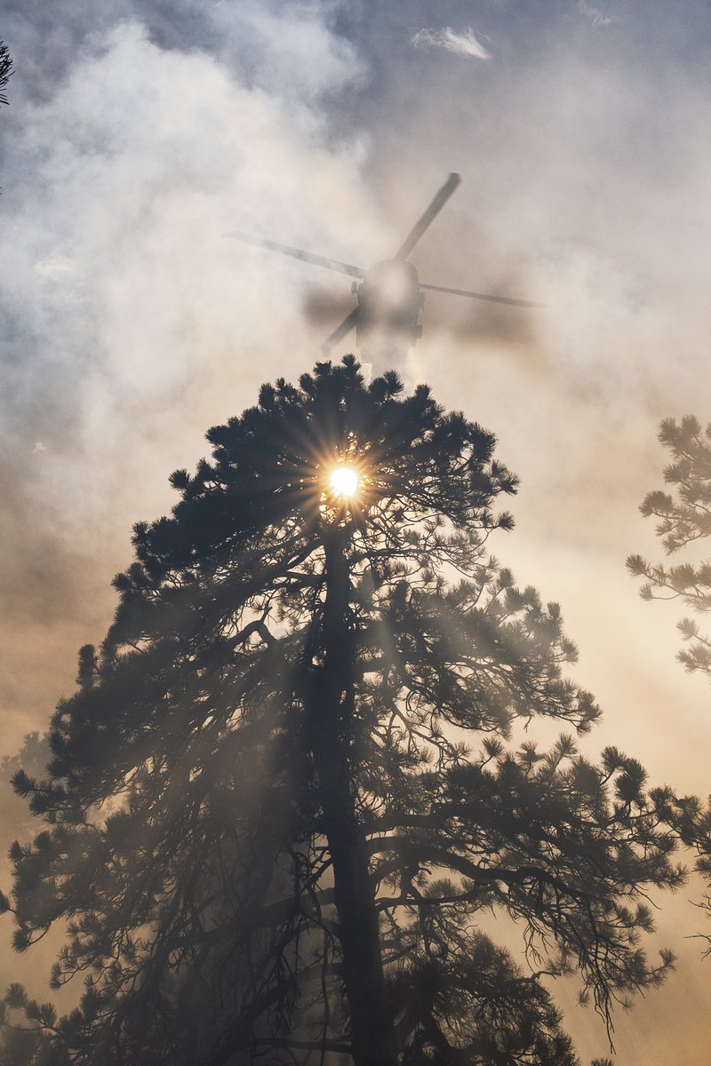 Mitchell Byars tweet media