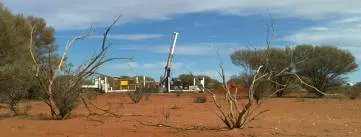 The White Rabbit Podcast 🐇 tweet media