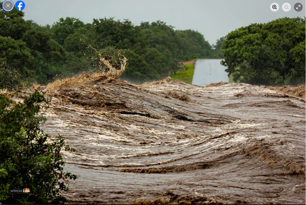 WWF Climate & Energy tweet media